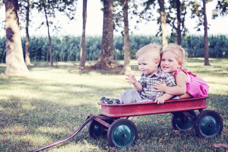 10 reasons why YOU should learn about birth order.